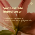 Professionellt Follicle Activin-serum för hårbotten - 5x högre koncentration av aktiva ingredienser som stimulerar hårväxten