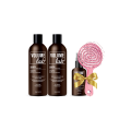 Volume Lab grunduppsättning: Shampoo och Conditioner + GÅVA (Lotion + Hårborste)!